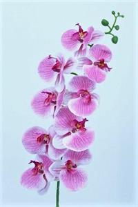 FIORE RAMO ORCHIDEA 9FIORI COLORE PINK