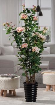 FIORE ROSE IN VASO D. 27 X H160 CM