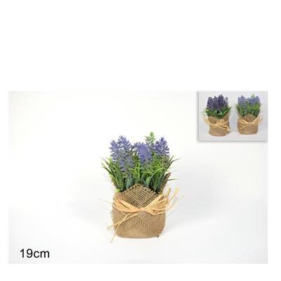 PIANTA LAVANDA IN JUTA 19 CM 2 COLORI ASS