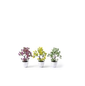 PIANTA VASO FIORI DI CAMPO 18 X 11 X H25 CM COLORI ASS