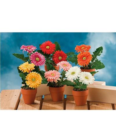 PIANTA FIORI GERBERA D.12XH18 CM 6 COLORI ASS