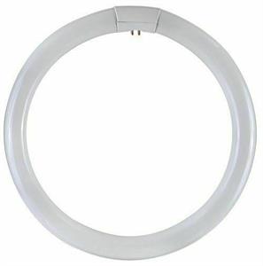 LAMPADINA CIRCOLINA G10Q 22W 6500K