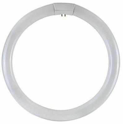 LAMPADINA CIRCOLINA G10Q 22W 6500K