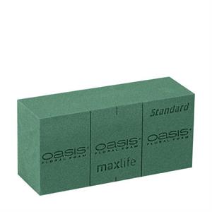 SPUGNA OASIS STANDARD MAXLIFE 35 PZ ART. 1038