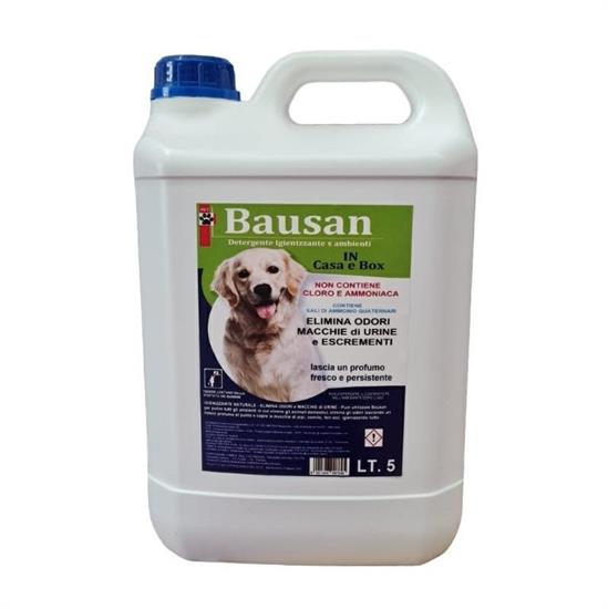 BAUSAN 5 LT IGIENIZZANTE PER AMBIENTI